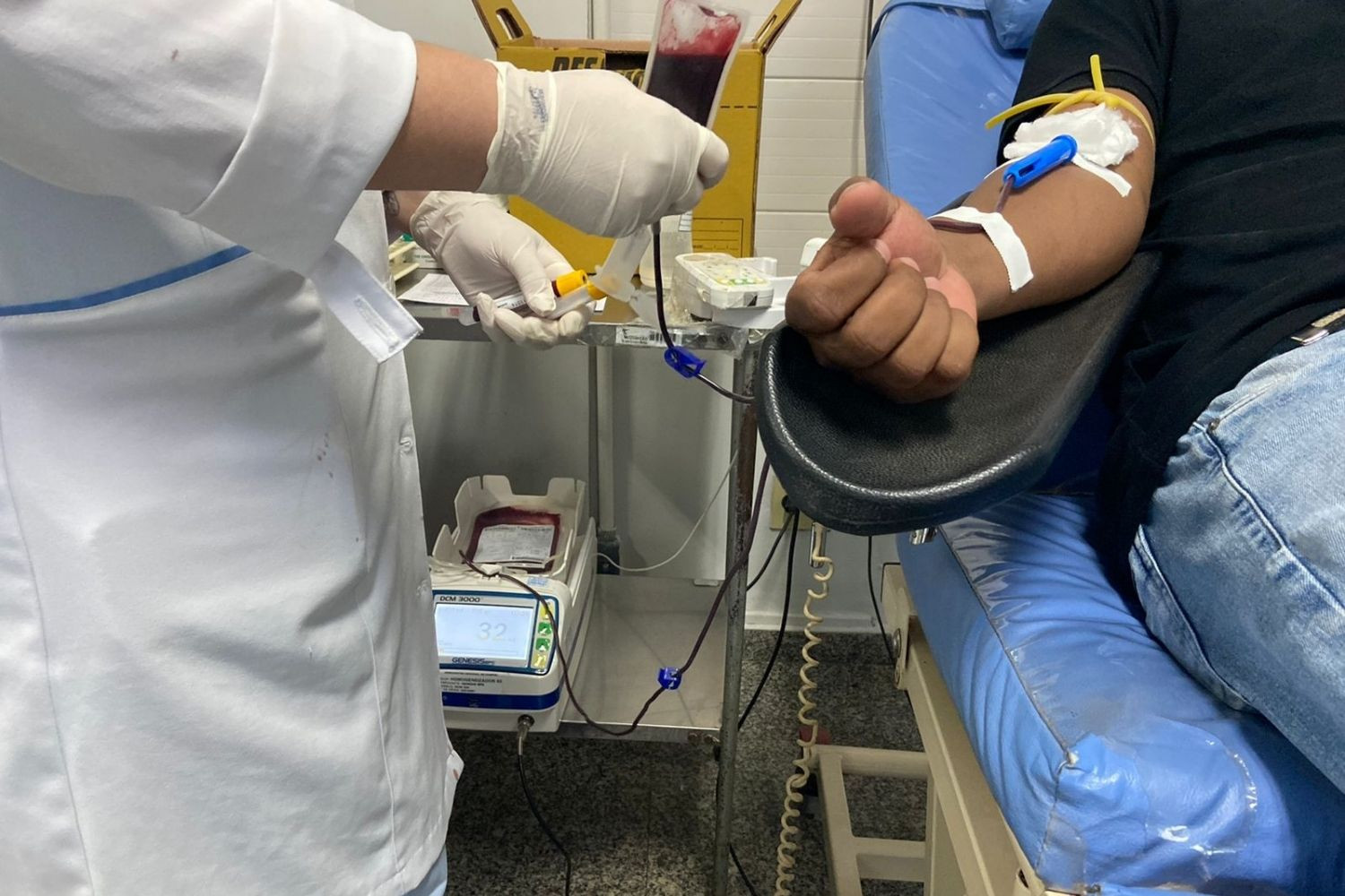  (Foto: Isabella Corrêa / Divulgação)