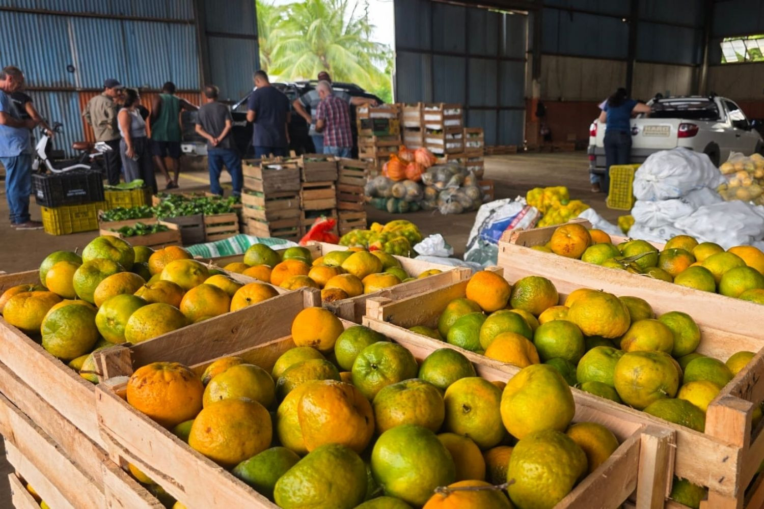  (Foto: Marina Rufino / Divulgação)