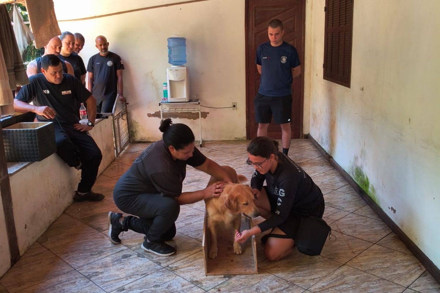  (Foto: GCM / Divulgação)