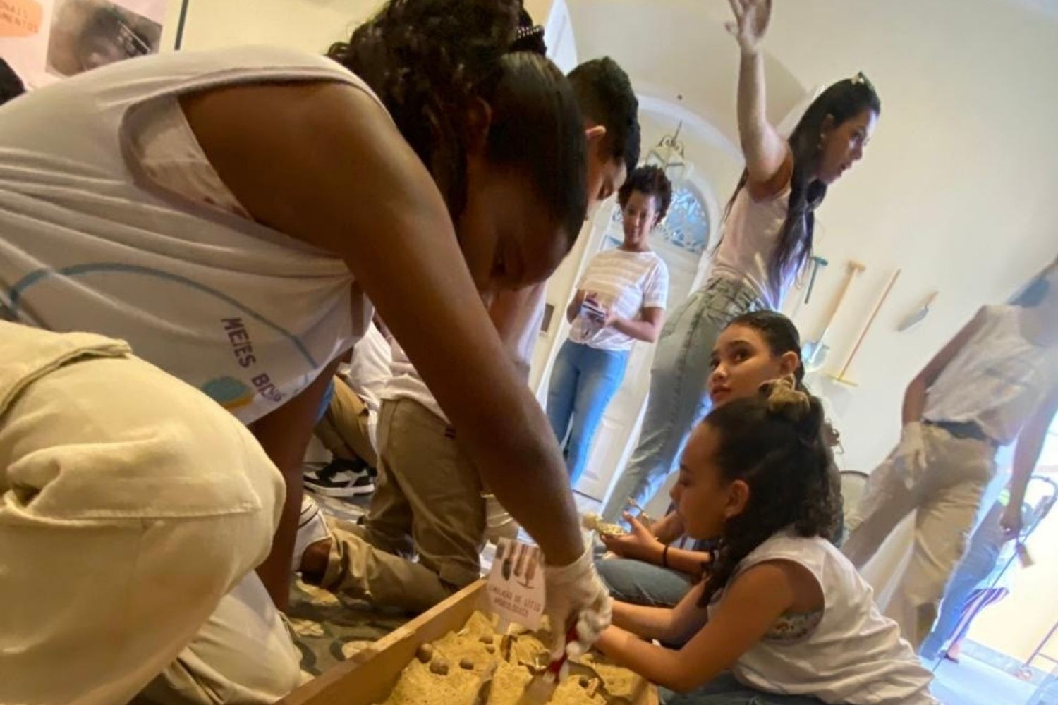  (Foto: Divulgação)