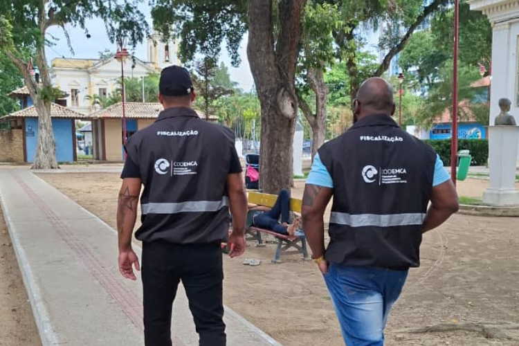  (Foto: Codemca / Divulgação)