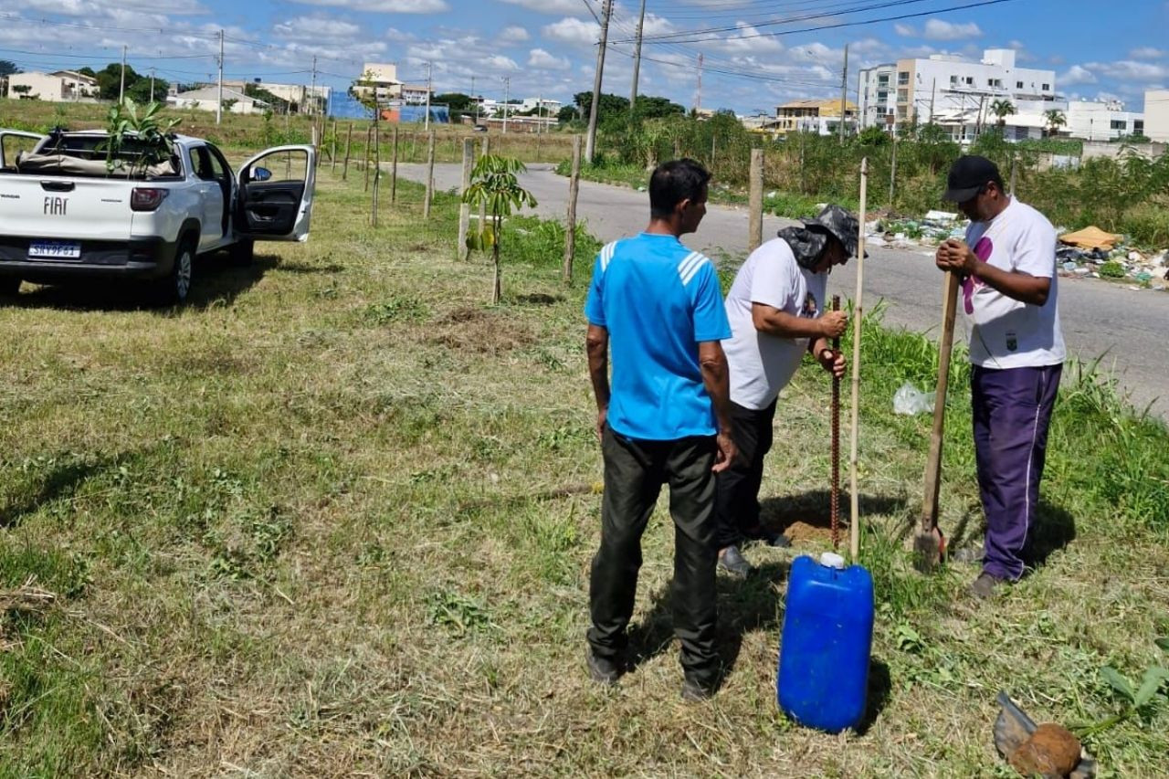  (Foto: Secretaria de Meio Ambiente / Divulgação)