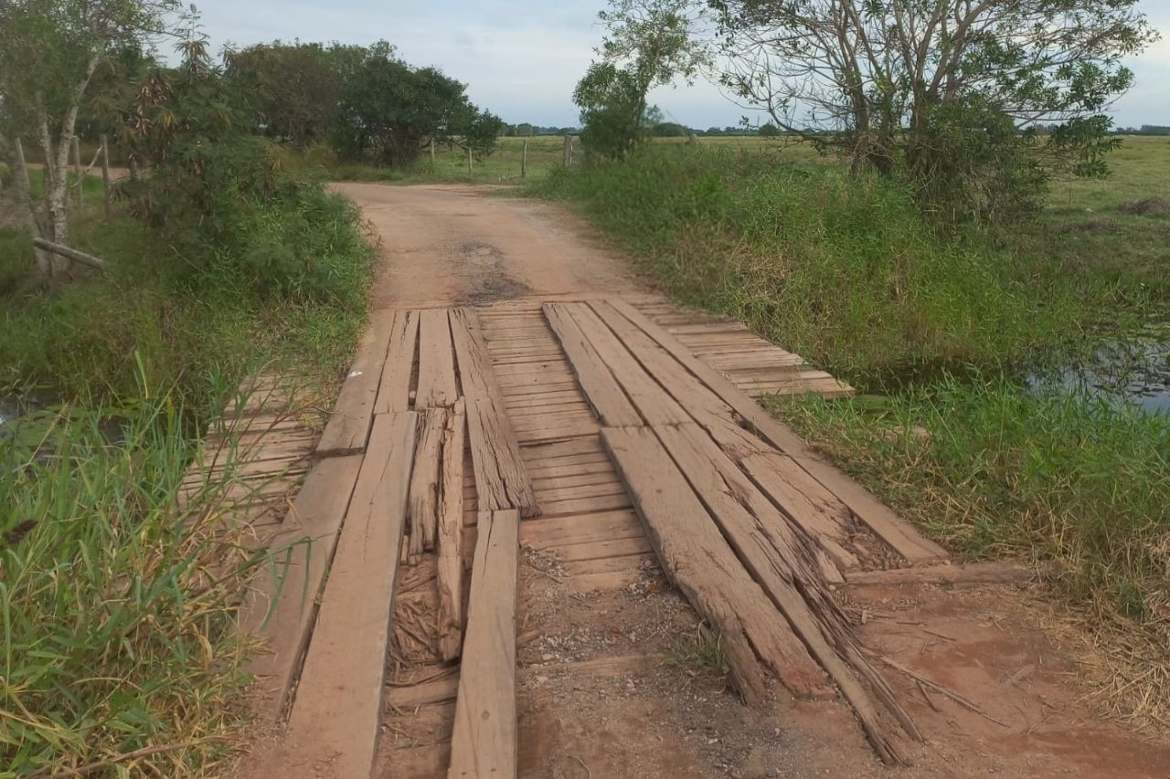  (Foto: Divulgação)