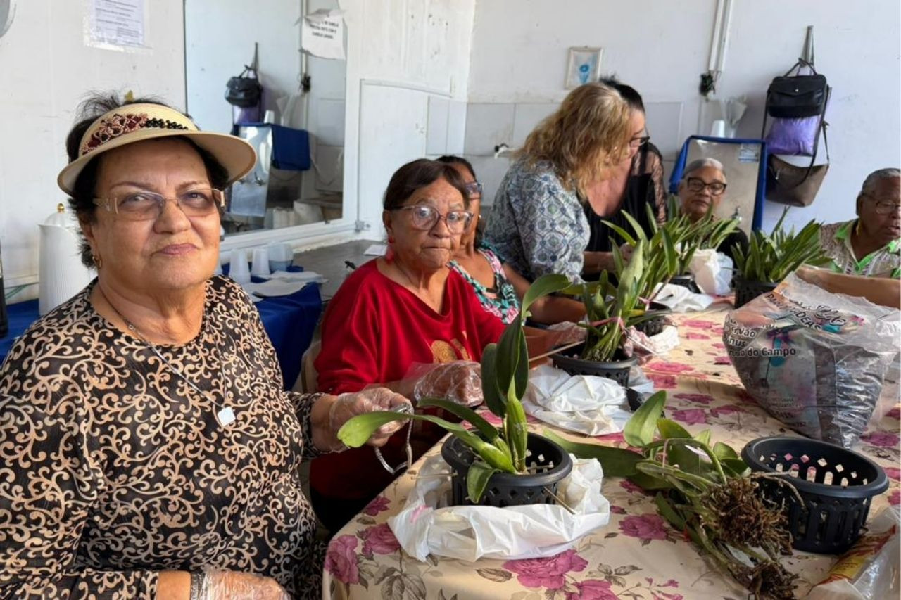  (Foto: Érica Viana / Divulgação)