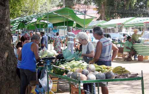 A Feira da Roça leva aos consumidores produtos de ótima qualidade, produzidos na região (Foto: Antônio Leudo)