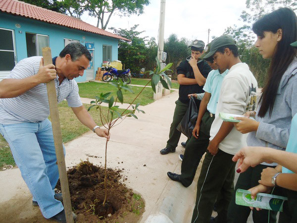 Cerca de 400 mudas de plantas nativas da Mata Atlântica, como Oiti, Quaresmeira, Ipê Amarelo e Aroeira Vermelha, foram plantadas no Novo Eldourado, Ururaí e no Parque Santa Rosa (Foto: Arquivo)