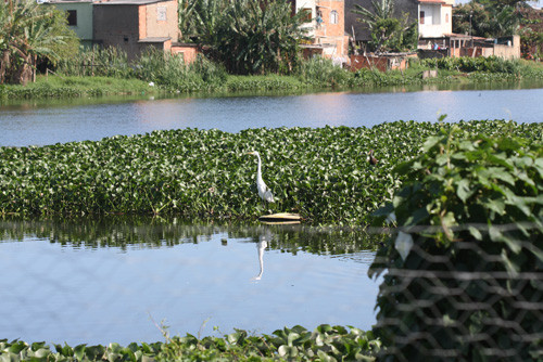 A Secretaria de Meio Ambiente finalizou a demarcação e o estudo da situação atual das 22 lagoas de Campos (Foto: Antônio Leudo)