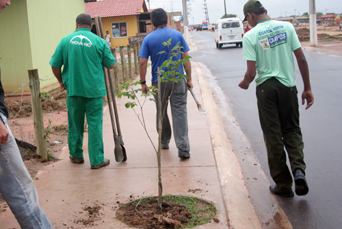 Já foram plantadas mais de mil árvores nos bairros Novo Jóquei, Eldorado, Ururaí e Santa Rosa e Aldeia (Foto: Antônio Leudo)