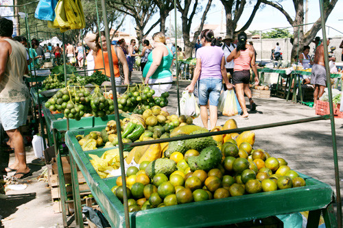 A expectativa da secretaria municipal de Agricultura e Pesca é para que cerca de 100 pequenos produtores rurais comercializem seus produtos (Foto: Divulgação)