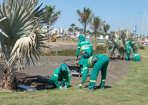 Diversos pontos da cidade estão recebendo projeto de paisagismo (Foto: Check)