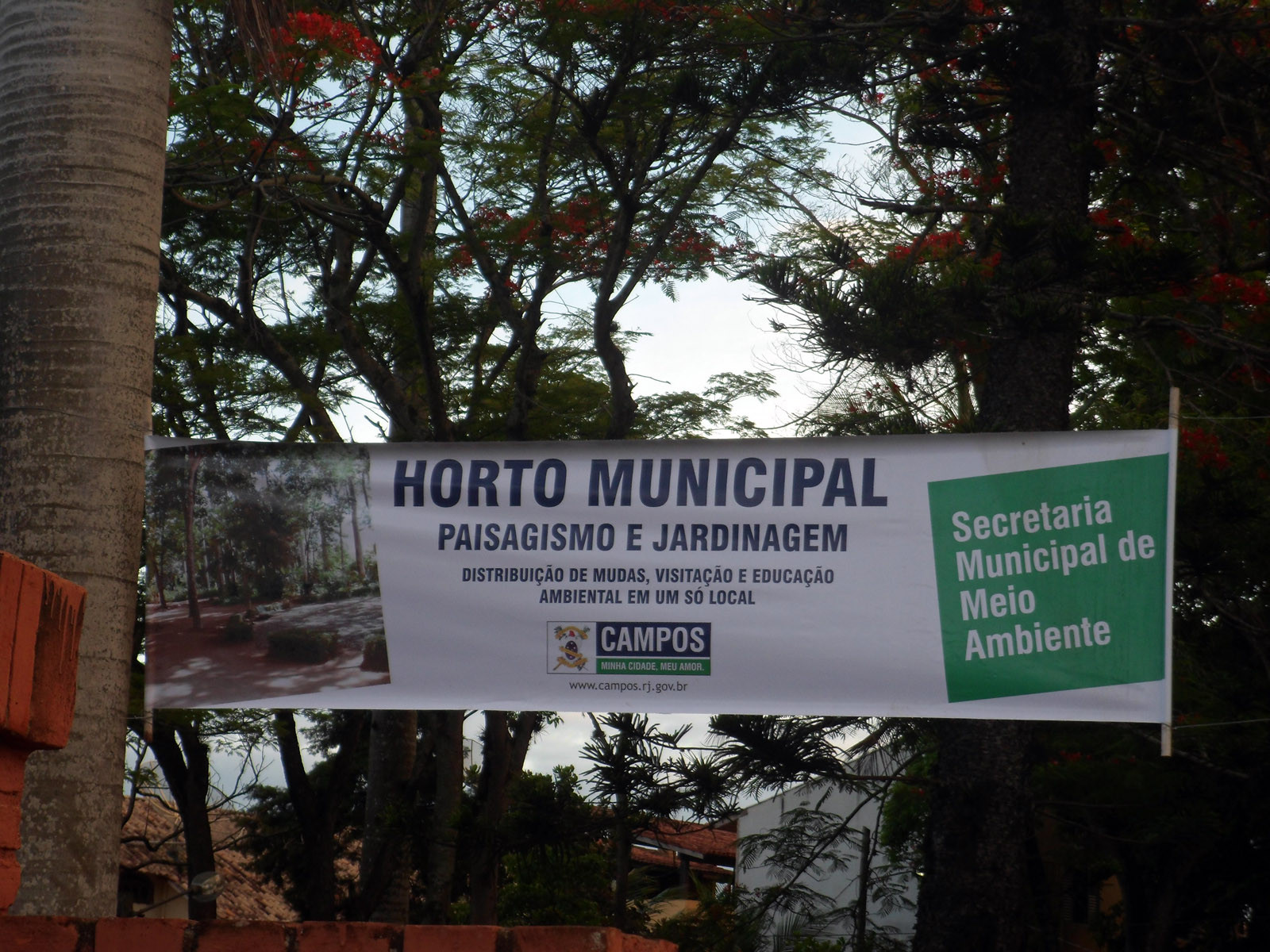 Dando início a um processo de revitalização do Horto Municipal, equipes da secretaria municipal de Meio Ambiente iniciaram diversas atividades internas (Foto: Divulgação)