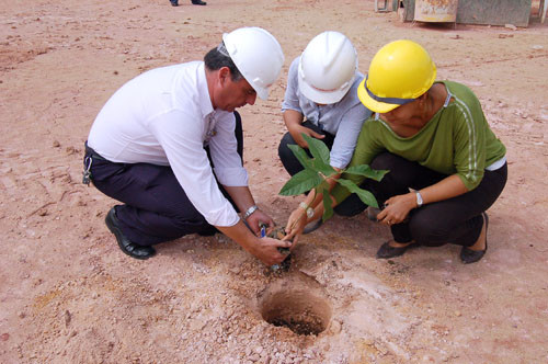 O plantio foi feito através de parceria entre Secretaria de Meio Ambiente, alunos do Colégio Agrícola Antônio Sarlo e empresa Odebrecht (Foto: Check)