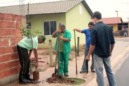 O projeto Adote uma árvore já passou à marca de plantio de 10 mil mudas (Foto: Antônio Leudo)