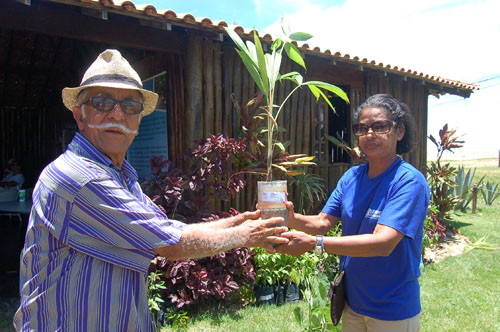 O visitante que for ao local poderá receber mudas frutíferas e arbóreas (Foto: Check)