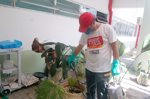A campanha ?Dengue Mata? está dando resultados positivos (Foto: Check)
