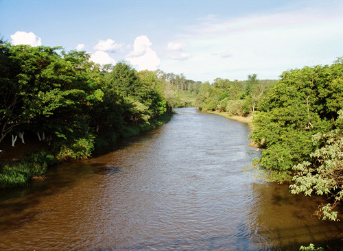 O projeto Água vale ouro será lançado no Dia Mundial da Água (Foto: Divulgação)