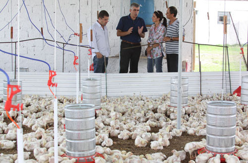 A Mini Granja Novos Tempos, que faz parte do programa Campos Produz + Frango, desenvolvido pela prefeitura, através da Secretaria de Agricultura e Pesca, foi uma das principais atrações da 1ª Agro Família (Foto: Divulgação)