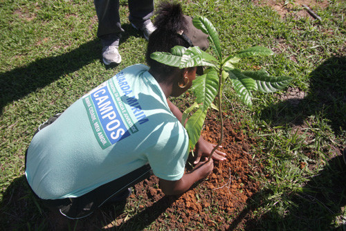 O departamento de Licenciamento, responsável por autorizar pequenas extrações de minerais, e o departamento de Arborização, que cuida do plantio e da poda de árvores, também vão estar no desfile (Foto: Roberto Joia)