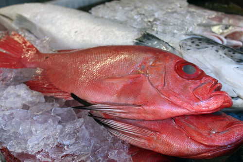 A pesquisa foi realizada comparando os preços dos peixes mais procurados, tanto os de água doce como os de água salgada (Foto: Divulgação)