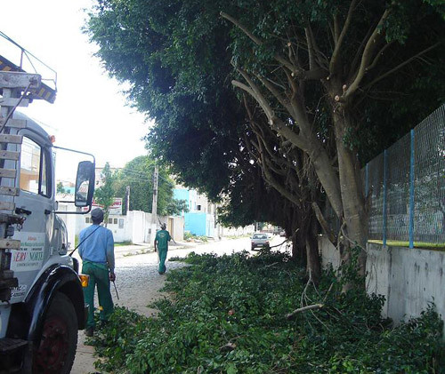 A Secretaria de Meio Ambiente está realizando a poda de árvores das ruas por onde passarão os carros alegóricos (Foto: Divulgação)