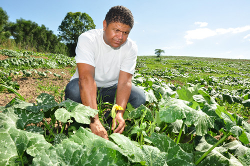 O técnico da Secretaria Municipal de Agricultura e Pesca, Robson Vieira, acompanhou o secretário Eduardo Alves, na visita nos locais de cultivo de abóboras (Foto: César Ferreira)