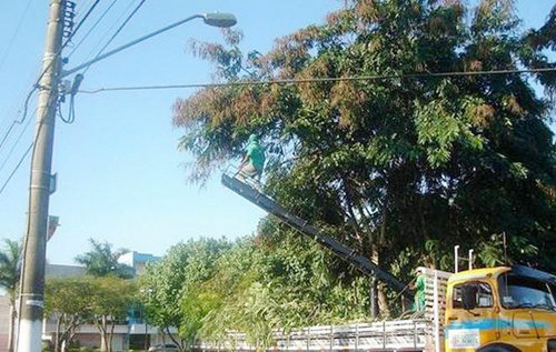 A Secretaria de Meio Ambiente vem executando poda de manutenção de todas as árvores do município (Foto: Divulgação)