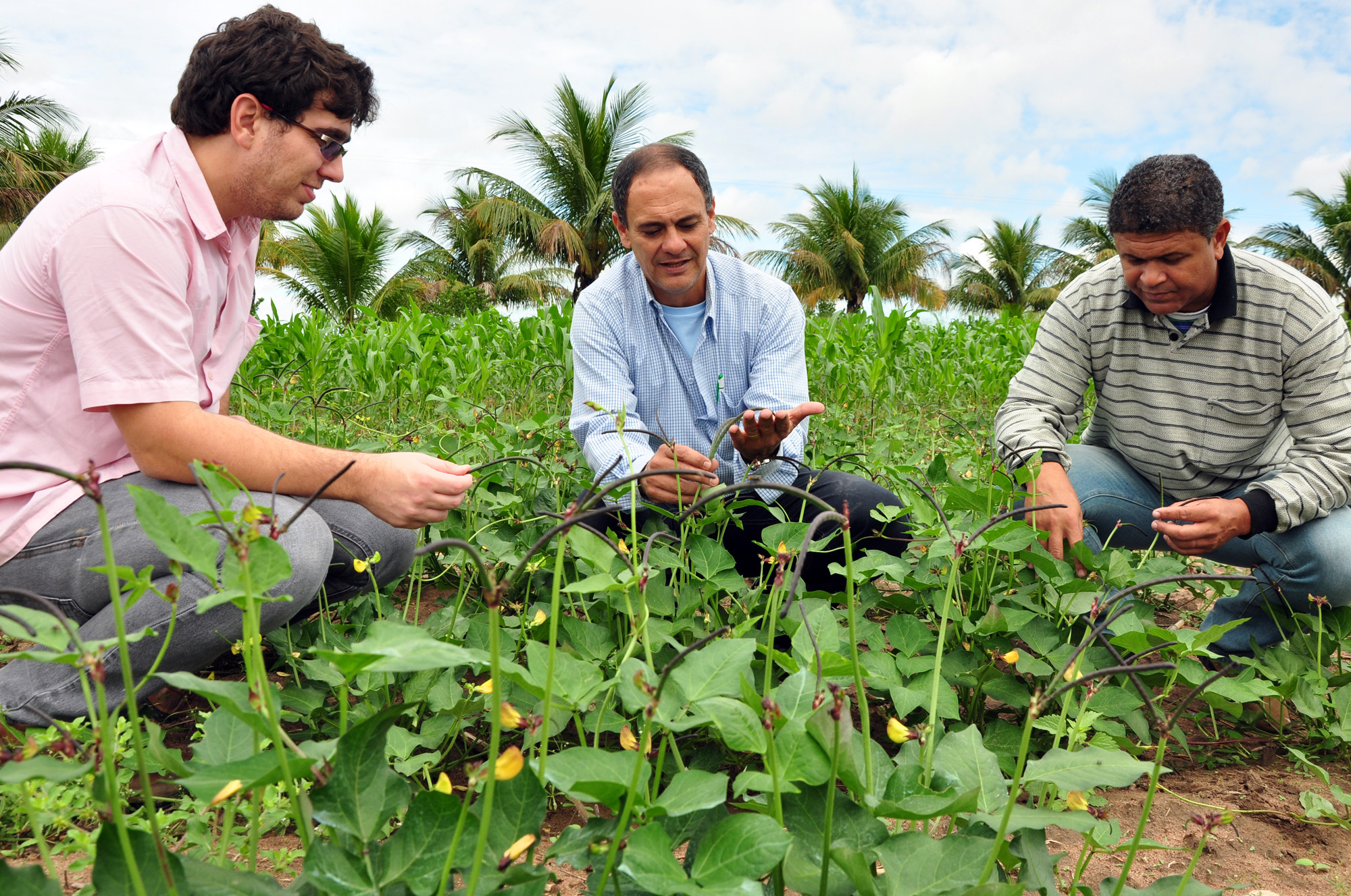 O secretário de Agricultura e Pesca, Eduardo Alves, acompanhado de técnicos da secretaria, em visita ao Núcleo 2 do Assentamento Zumbi para acompanhar o plantio de feijão corda (Foto: César Ferreira)