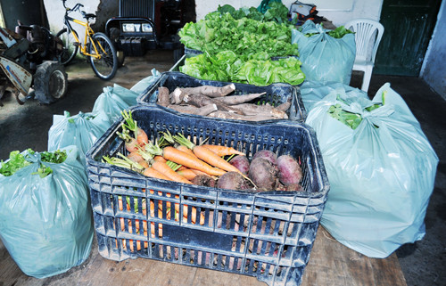 A Secretaria de Agricultura e Pesca deu início esta semana ao processo de distribuição de hortaliças e legumes (Foto: Rogério Azevedo)