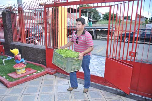 A secretaria de Agricultura entrega aproximadamente 450 Kg de alimentos ? cenoura, beterraba e aipim, couve, pés de alface e chicória a entidades em funcionamento (Foto: Divulgação)