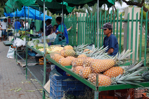 Desde as primeiras horas da manhã desta terça-feira, cerca de 40 feirantes já estavam comercializando diferentes produtos como pescado, ovos, carnes de origem caprina e suína, verduras, legumes, frutas, doces, biscoitos caseiros, laticínios, emb (Foto: Check)