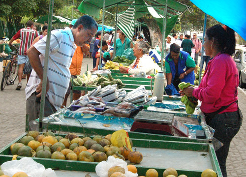 Devido ao feriado nacional de Sete de Setembro, na sexta-feira, a secretaria municipal de Agricultura e Pesca antecipou as atividades da Feira da Roça (Foto: Check)