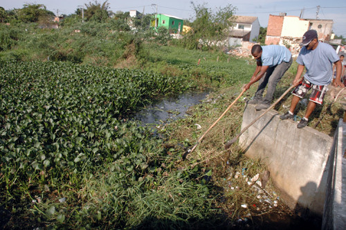 Nesta segunda-feira (24), uma equipe da Secretaria Municipal de Obras e Urbanismo fazia manualmente a remoção da vegetação que cobre o Canal dos Prazeres (Foto: Divulgação)