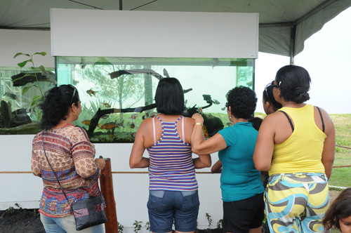 Mais um atrativo para a praia do Farol de São Tomé é o aquário de peixes, instalado no stand da Secretaria de Meio Ambiente. O local fica aberto das 8h às 18h e, durante todo o dia, pode ser visto diversas espécies de peixes (Foto: Secom)