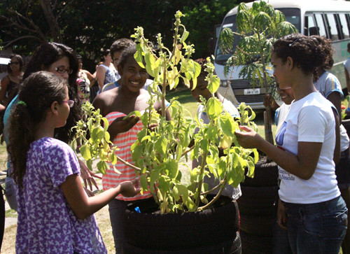 O Jardim Sensorial, instalado no Centro de Educação Ambiental da Secretaria de Meio Ambiente, está aberto à visitação pública e às escolas, de segunda à sexta-feira, das 8h às 17h (Foto: Antonio Leudo)