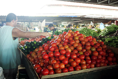 Segundo a pesquisa, os produtos hortifrutigranjeiros foram os que mais contribuíram para o aumento de preços no mês de fevereiro (Foto: Antonio Leudo)