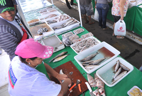 Peixes frescos, pescados no município, limpos e a preços acessíveis, estarão à disposição dos consumidores, a partir desta quarta-feira (27) até Sexta-feira Santa (29), na Feira do Peixe (Foto: Rogério Azevedo)