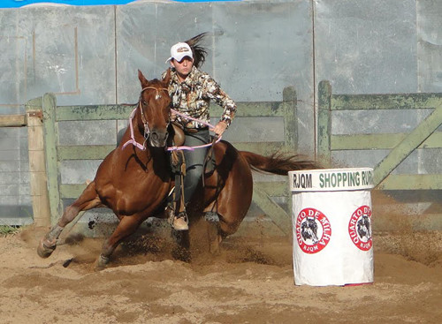 O 2º Campeonato Estadual do Cavalo Quarto de Milha 2012/2013 acontece a partir desta sexta-feira (31) até domingo (2) (Foto: Divulgação)
