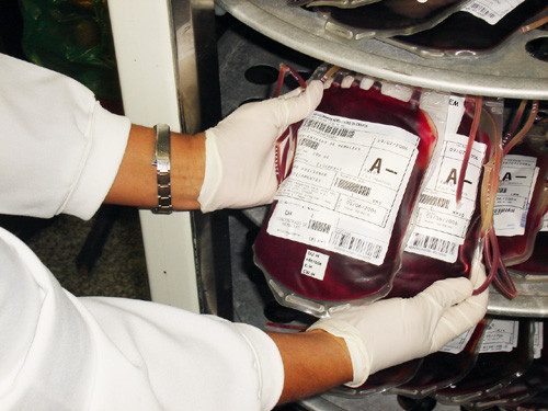 As bolsas de sangue estão cada vez mais reduzidas (Foto: Divulgação)