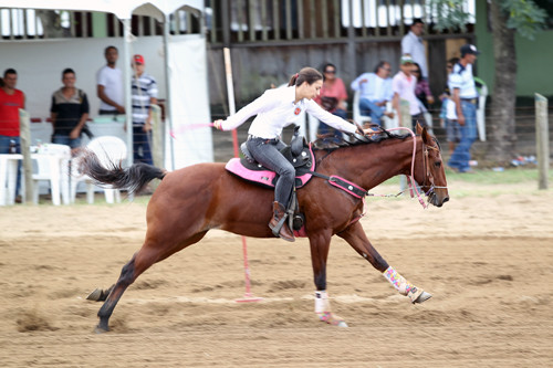 Começou nesta sexta-feira  e vai até domingo, na (FRC), a 3ª Etapa do 27º Campeonato Estadual do Cavalo Quarto de Milha (Foto: Divulgação)