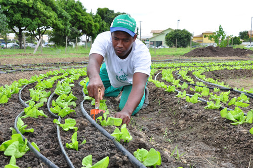 Da Horta Agroecológica saem verduras, legumes, frutas e galinhas caipiras (Foto: César Ferreira)