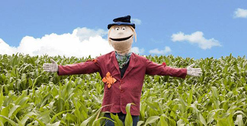 O Dia Nacional do Campo  Limpo, que acontece em todo o país, no dia 16 de agosto (Foto: Divulgação)