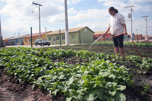 Entre os projetos da Família e Assistência Social, o SAN é responsável pelas hortas comunitárias dos conjuntos residenciais do Morar Feliz (Foto: Antônio Leudo)