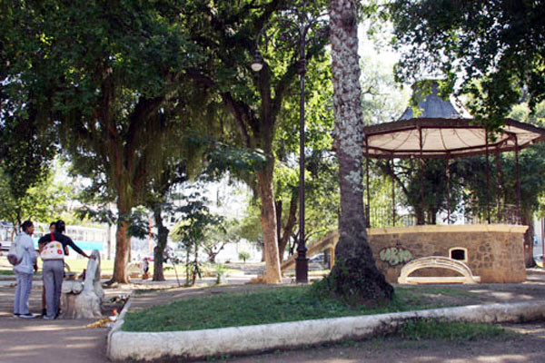  (Foto: Divulgação)