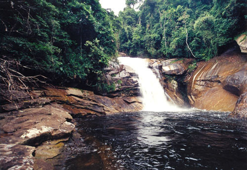 O turismo rural tornou-se uma tendência global e tem como finalidade permitir aos turistas, um contato mais direito com a natureza (Foto: Divulgação)