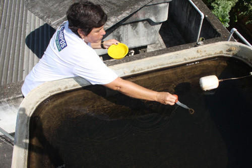 Com o objetivo de eliminar os focos do mosquito transmissor da dengue, o Centro de Controle de Zoonoses (CCZ) prossegue com as visitas domiciliares (Foto: Rogério Azevedo)