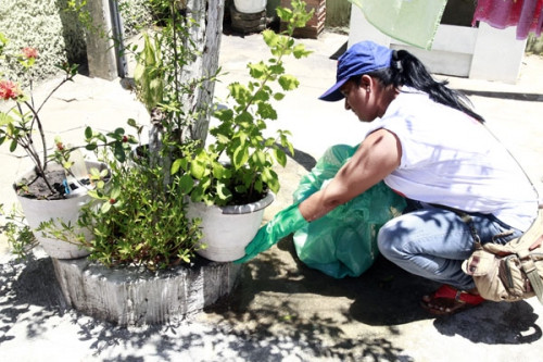 A força-tarefa conta com uma grande estrutura montada pela Secretaria de Saúde, em parceria com diversos órgãos municipais (Foto: Rodolfo Lins)