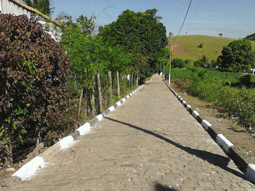 Além de varrição, capina e roçada, Conselheiro Josino recebeu também, pintura de meios fios (Foto: Divulgação)