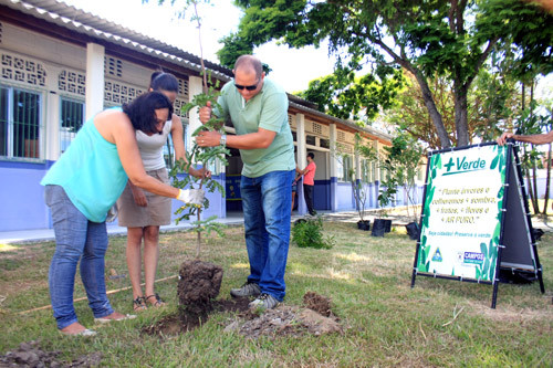 Foram plantadas 17 mudas de árvores frutíferas e nativas, entre elas, o Pau-Brasil (Foto: Rodolfo Lins)