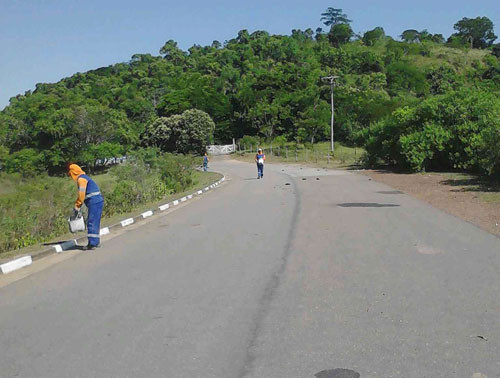 A pintura de meio fio está entre os serviços realizados pela equipe de limpeza (Foto: Divulgação)