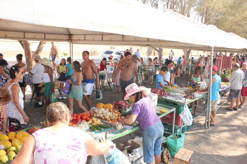 Em janeiro, foram vendidas cerca de 80 toneladas (Foto: Secom)